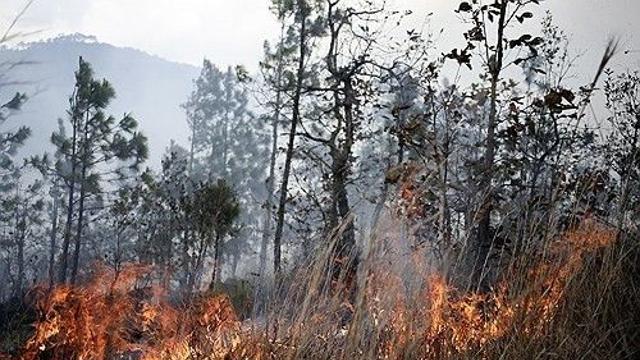 thumbimg