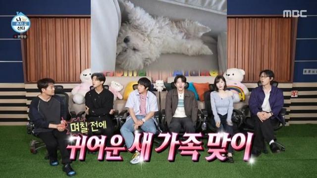 ‘나혼산’ 기안84가 쏘아 올린 선한 영향력…전현무 “부모님, 유기견 입양”