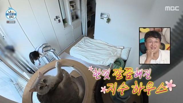 ‘나혼산’ 최지수, 광나는 원룸 자취방 공개 “반려묘는 제 딸”