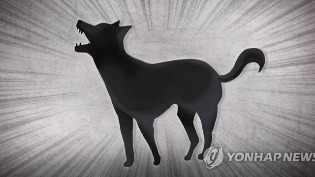 약속 늦었다고…아파트 15층서 강아지 집어던진 20대 집유