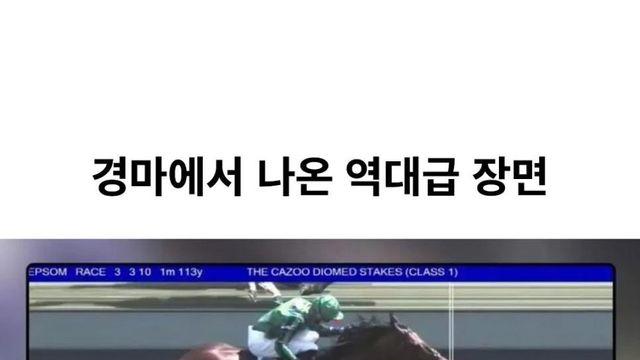 경마에서 나온 역대급 장면.jpg