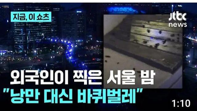 서울로7017 바퀴벌레 바글바글..외국인들 경악