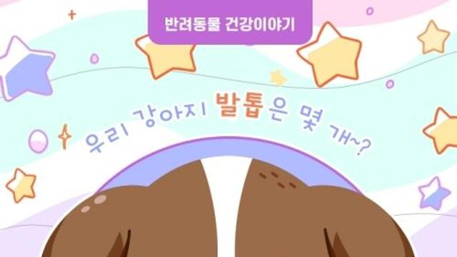 [반려동물 건강이야기] 우리 강아지 발톱은 몇 개~? 강아지도 며느리발톱이 있다?