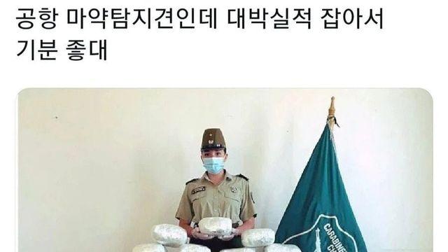 실적 대박나서 기분 좋은 강아지.jpg