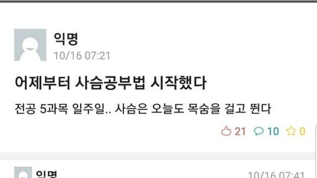 사슴 공부법