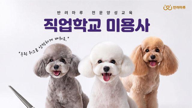 경기도, 반려동물 미용사·훈련자 전문인력 양성