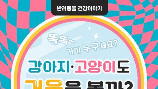 [반려동물 건강이야기] 똑똑~ 거기 누구세요? 강아지·고양이도 거울 볼까?