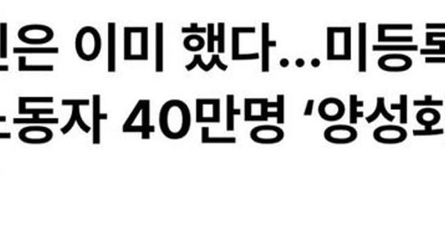 정부, 불법체류자 