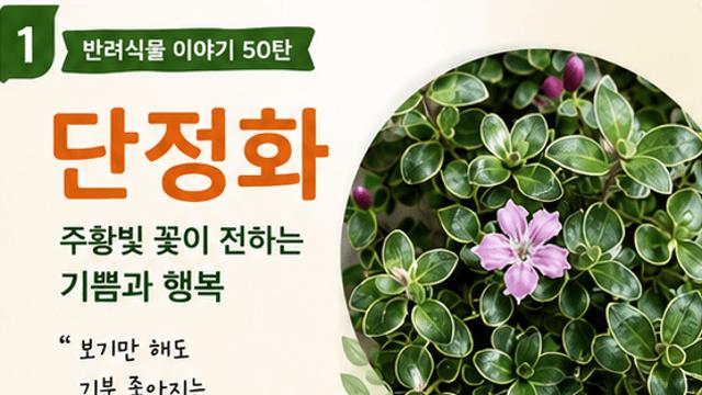 [반려식물 이야기] 주황빛 꽃이 전하는 기쁨과 행복 '단정화'