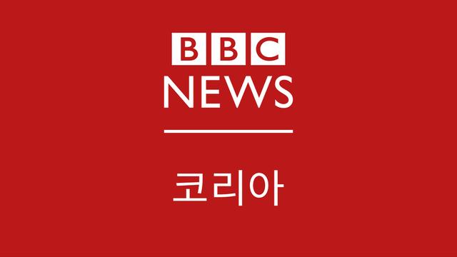 영화 '호프' 리뷰: '야성적인 한국 블록버스터'…2026년 반드시 봐야 할 괴수영화