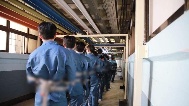 감옥 간 탈북민 172명 '역대급'…3명 중 1명 '이 범죄' 저질렀다