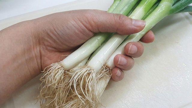"국물 요리에 한 개씩 넣으니 맛이 깊어지네요" 대파 뿌리나 자투리 야채 버리지 말고 끓여서 얼려보세요