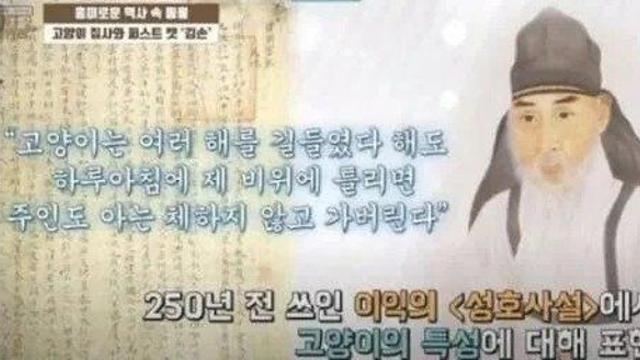 250년에 쓰여진 냥아치 특징