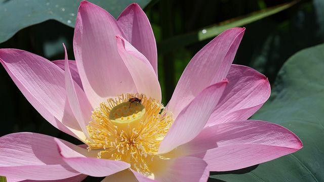 thumbimg