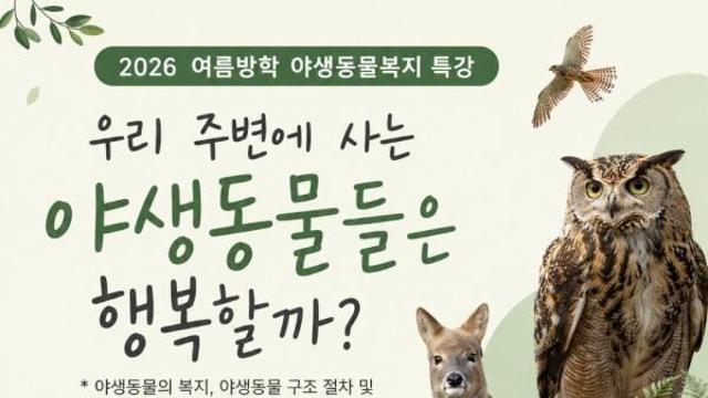 “구조보다 공존이 먼저”…경기도, 교사와 함께 만드는 생명존중 교육 나선다