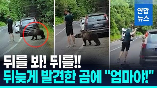 [영상] 곰이 '툭툭' 치는데도…눈앞에 나타나자 '혼비백산'