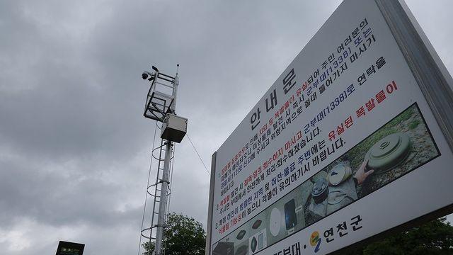 임진강변서 대인지뢰 발견…집중호우에 떠내려온 듯