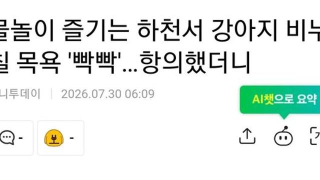 물놀이 즐기는 하천에서 강아지 비누칠 목욕 시킨 사람