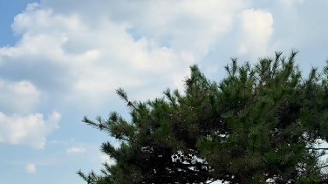 키, 한강뷰 집 테라스에서 반려견들과 근황 전해