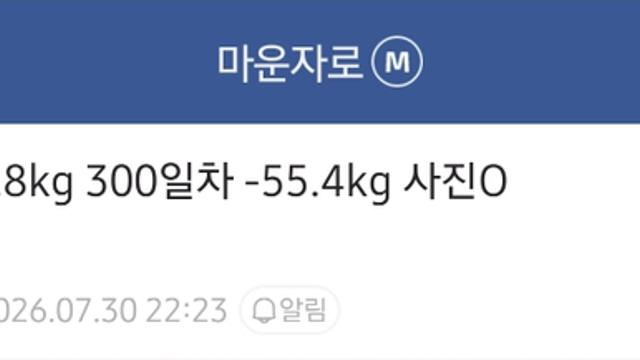 몸무게 124.8kg 시작 마운자로 300일차 후기