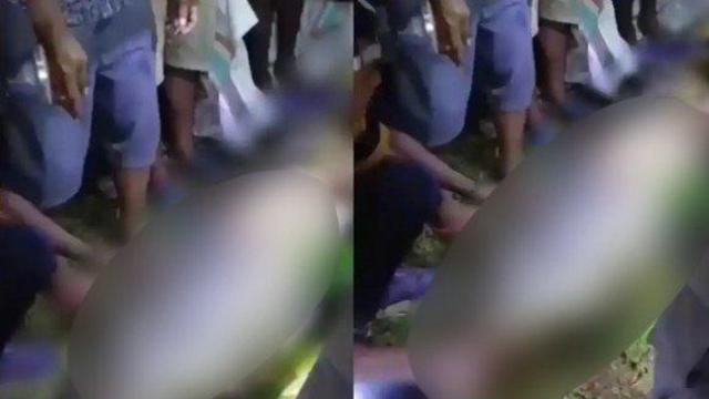 “집에 안 오더니“…7m 비단뱀 뱃속서 발견된 40대 농부
