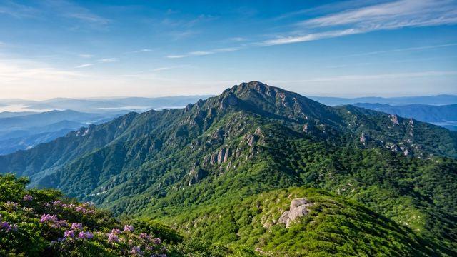 이럴 수가…백운산서 깜짝 발견된 감정가 1.3억 원짜리 '이것'
