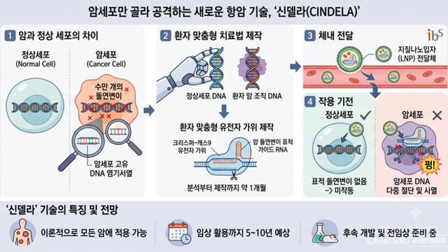 암세포 DNA만 골라 자른다…신개념 항암치료 기술 '신델라'