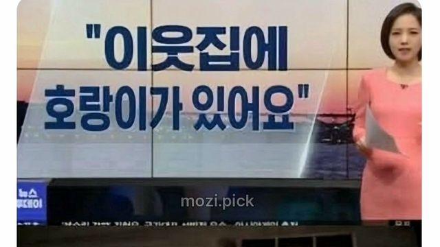 그림자 보고 집에 호랑이 있다고 신고.jpg