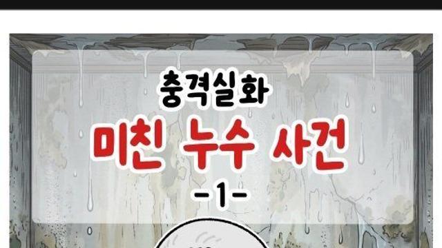 미친 누수 사건