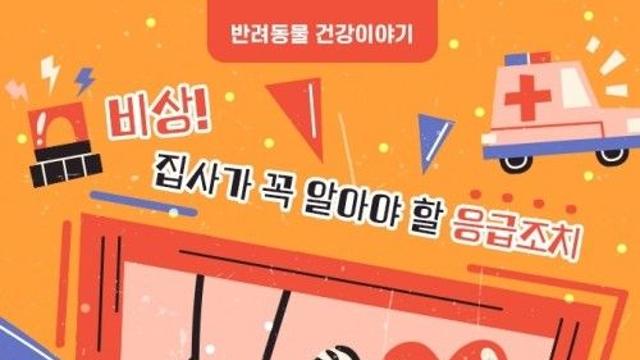 [반려동물 건강이야기] 비상! 집사가 꼭 알아야 할 응급조치-고양이 심폐소생술