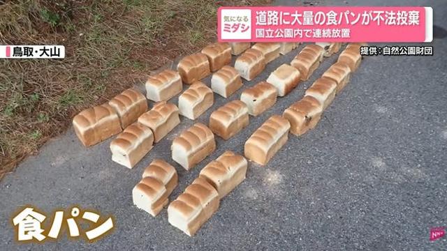 길에 버려진 의문의 식빵 39kg…그 옆엔 '닭 내장'도 발견