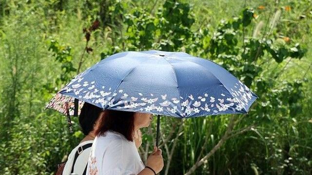 [날씨] 낮 최고 36도 ‘불볕더위’…경기 동부·강원 내륙 소나기 기승