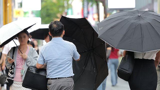 [날씨] 전국 곳곳 최대 60㎜ 소나기…낮 최고 36도 무더위도 계속