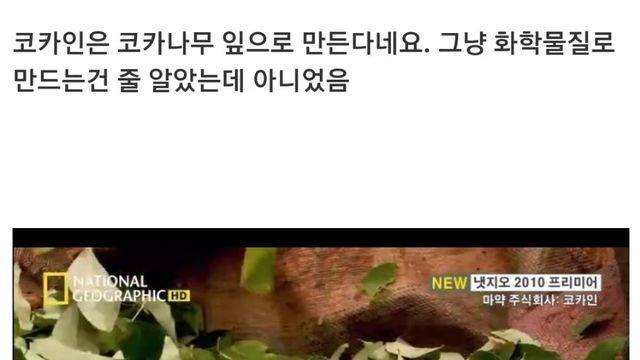 코카인이 만들어지는 과정.jpg