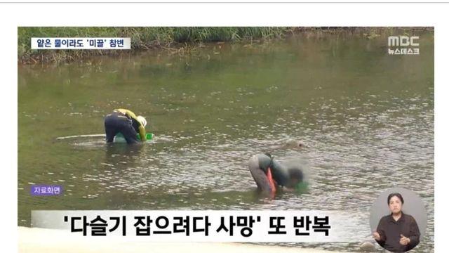 의외로 한국인을 많이 죽인 동물
