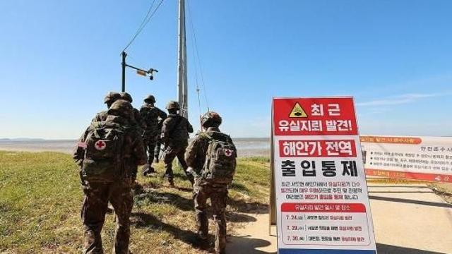 강화 주문도 해상서 발견된 '6세 남아 시신' 북한 주민 추정…"기생충 나왔다"