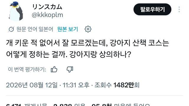 강아지 산책 코스는 어떻게 정하나요? 강아지랑 상의하나?