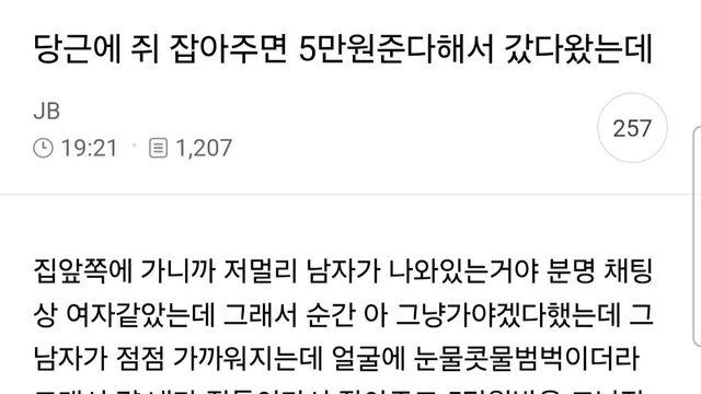 당근에 쥐 잡아주면 5만원 준다해서 갔다왔는데