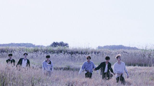 엔하이픈 빌보드 앨범 차트 첫 정상…캣츠아이·스키즈 '톱 10'