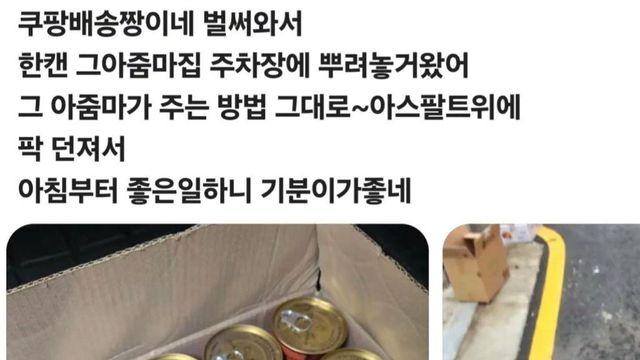 인간 싸움에 고양이 배터진다..jpg