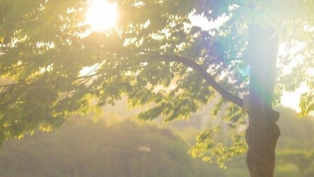당신의 기억을 노래합니다... 가수 윤나긋, 노래에 일기장을 펼쳤다