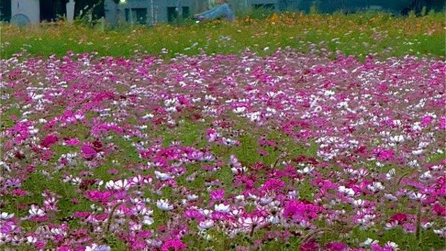 날씨 