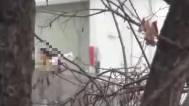 '스모킹 건' 5세 아동 실종 사건 추적… 이지혜, 참혹한 진실에 끝내 눈물