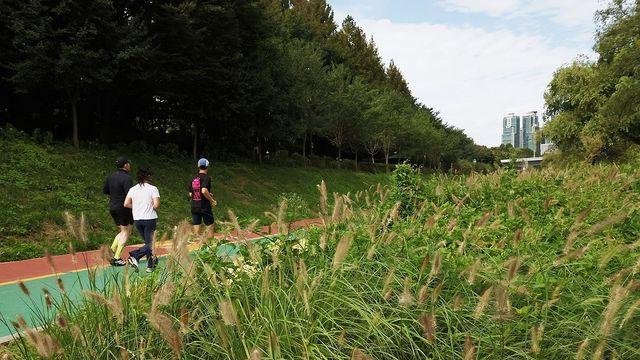 [날씨] 전국 내륙 중심 일교차 주의…아침 최저 기온 '10도'