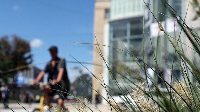 [날씨] 가을 햇살 따뜻하지만 아침저녁 쌀쌀…낮 최고 30도, 일교차 ‘쑥’