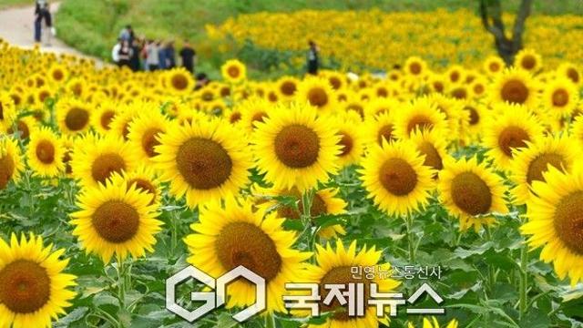 내일날씨, 대구·부산 30도 