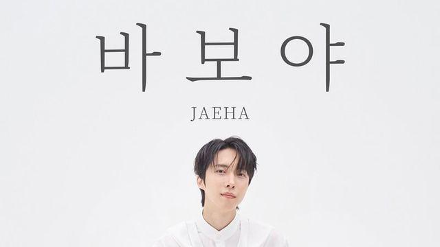 ‘감성천재’ 재하, 직접 만든 애절한 ‘바보야’ 발매 [DA투데이]