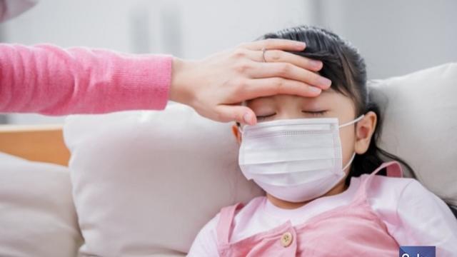 독감 이른 유행에 예방접종 서두른다… 서울시, 21일 어린이·임신부부터 무료접종