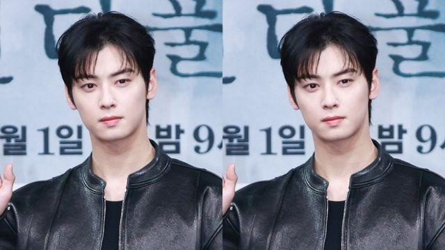 차은우 대화 엿듣다 발각… 카페에 '도청 장치' 설치한 50대 입건, 무슨 일?