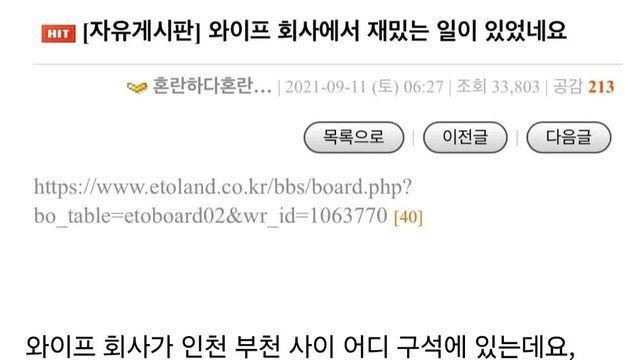 와이프 회사에서 재밌는 일이 있었네요 (고양이와 개)